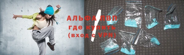 ПСИЛОЦИБИНОВЫЕ ГРИБЫ Гусев
