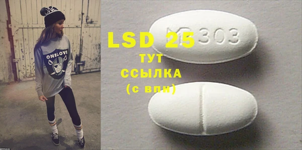ПСИЛОЦИБИНОВЫЕ ГРИБЫ Гусев