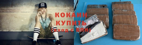 ПСИЛОЦИБИНОВЫЕ ГРИБЫ Гусев