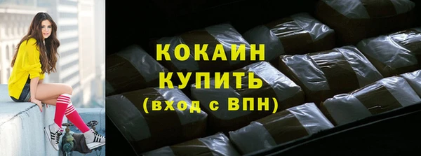ECSTASY Гусь-Хрустальный