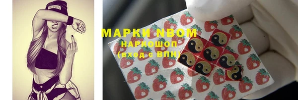 ПСИЛОЦИБИНОВЫЕ ГРИБЫ Гусев
