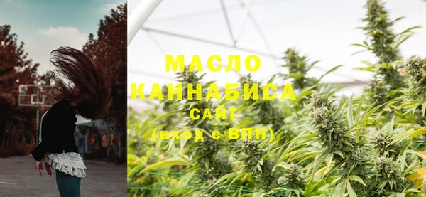 ECSTASY Гусь-Хрустальный