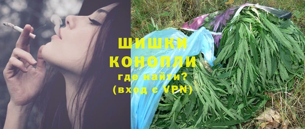 ECSTASY Гусь-Хрустальный