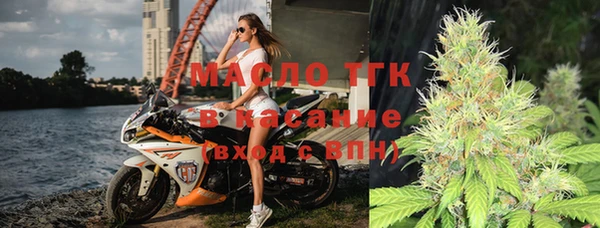 ECSTASY Гусь-Хрустальный