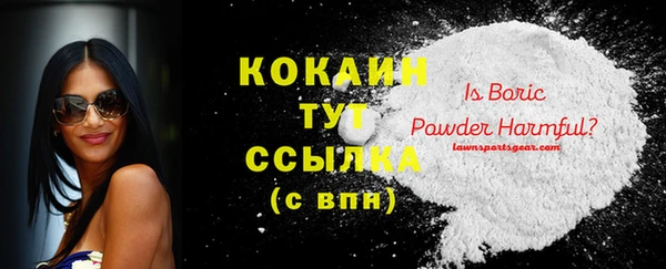 ПСИЛОЦИБИНОВЫЕ ГРИБЫ Гусев