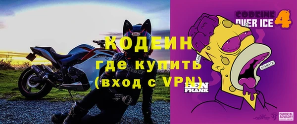 ECSTASY Гусь-Хрустальный