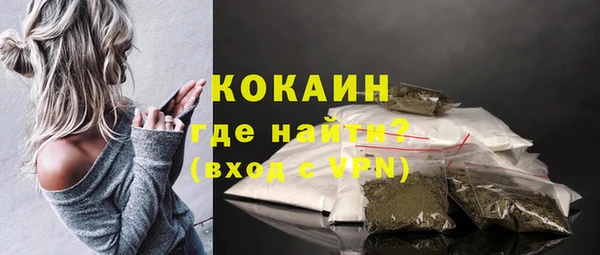 ПСИЛОЦИБИНОВЫЕ ГРИБЫ Гусев