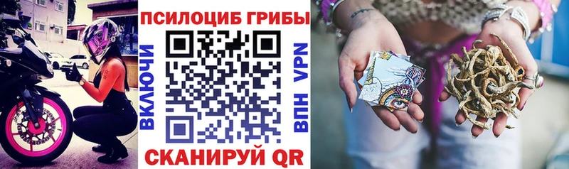 Купить где  Сорочинск  Псилоцибиновые грибы Psilocybine cubensis 